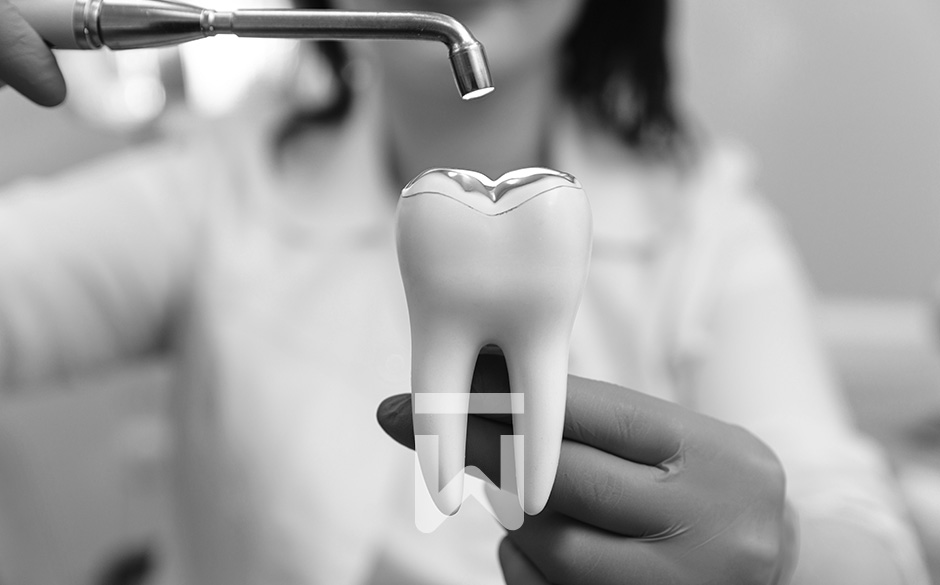 Eine Mitarbeiterin der Zahnarztpraxis Olowow in Neusäß erklärt anhand eines Modells das Aushärten der Zahnfüllung bei einer Füllungstherapie